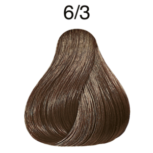 6/3