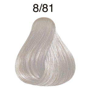 8/81
