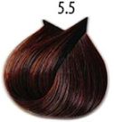 5/5
