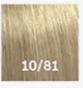 10/81