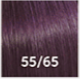 55/65