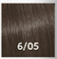 6/05
