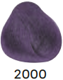 2000