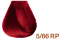 5/66 RP