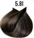 5/81