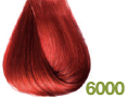 6000