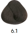 6/1