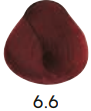 6/6