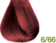 6/66