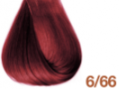 6/66
