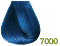 7000