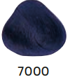 7000