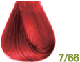 7/66
