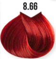8/66