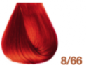 8/66