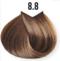 8/8