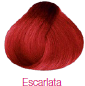 ESCARLATA