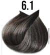 6/1