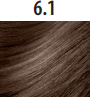 6/1