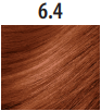 6/4
