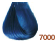 7000