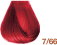 7/66